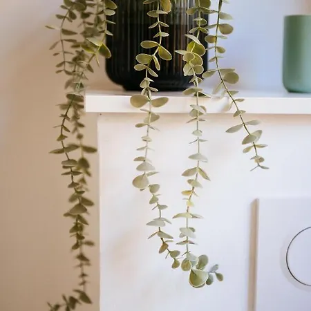 Visselheide Visselhövede