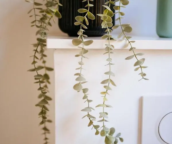 Visselheide Visselhövede